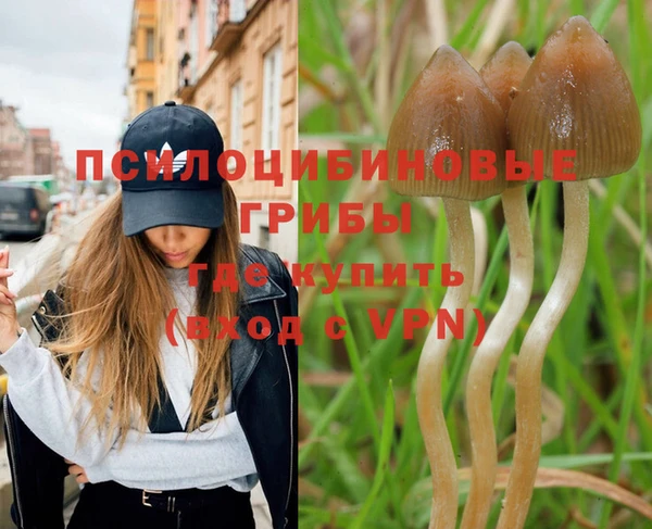 марки nbome Горнозаводск