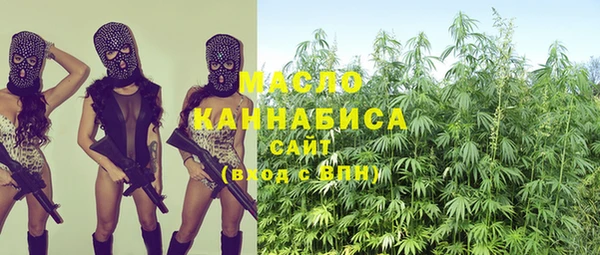 меф Горняк