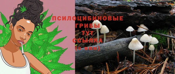 ешки Горно-Алтайск