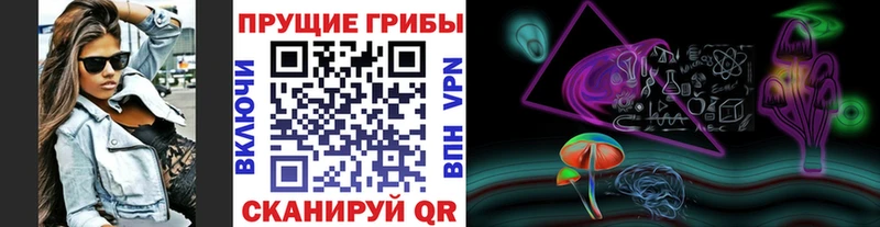 Галлюциногенные грибы Psilocybe  Купить закладки  Мыски 